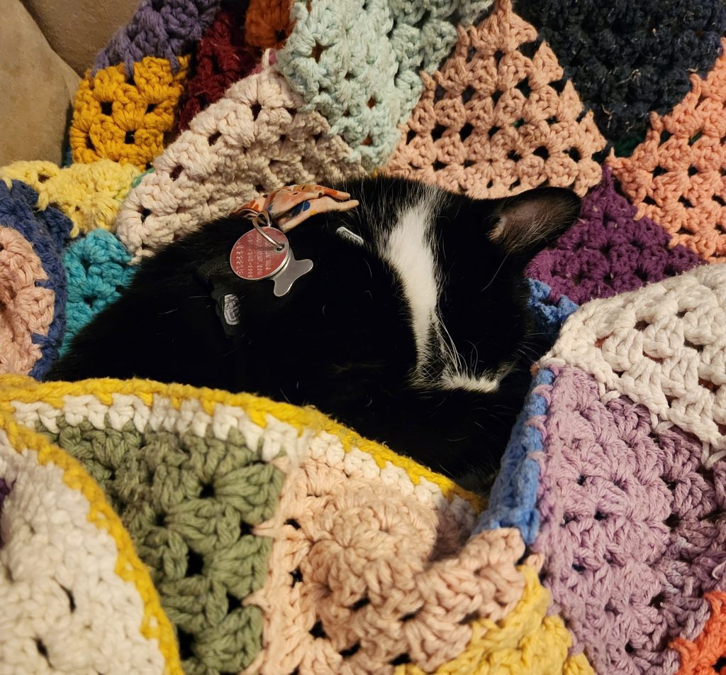 A black and white cat snuggles in a crocheted granny square patchwork blanket